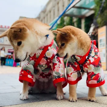 A Coleção Primavera / Verão Gato Cão Estilo Japonês Animal De Estimação Roupas Kimono Para Cães De Pequeno Porte Shiba Inu Corgi Cachorro Casaco Do Traje De Roupa