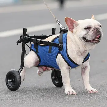 Ajustável Perna Traseira Deficiência Gato de Estimação do Cão Mobilidade Auxílio Reabilitação Cadeira de rodas Pernas do animal de Estimação Luz Carrinho de Pé Ferramentas P3Q3