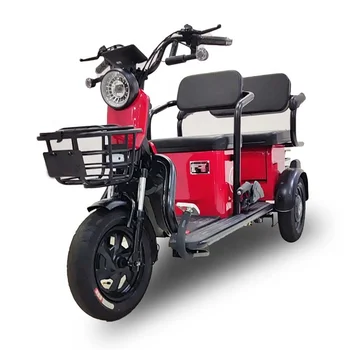 Triciclo de passageiros de Motocicletas 1.000 centímetros Feminino Elétrica triciclo